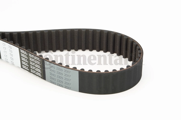 Timing Belt
